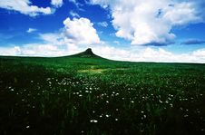 Grassland Stock Images Grassland Stock Images