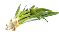 Spring Onion Royalty Free Stock Image Spring Onion Royalty Free Stock Image