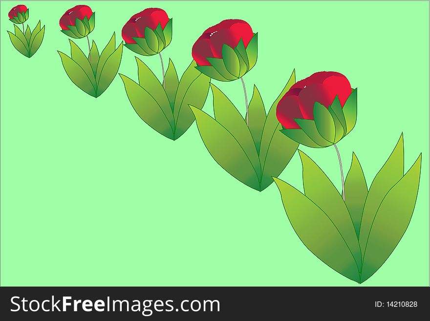 The image of poppies under the green background