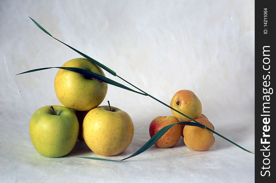 Apples isolated on painted background