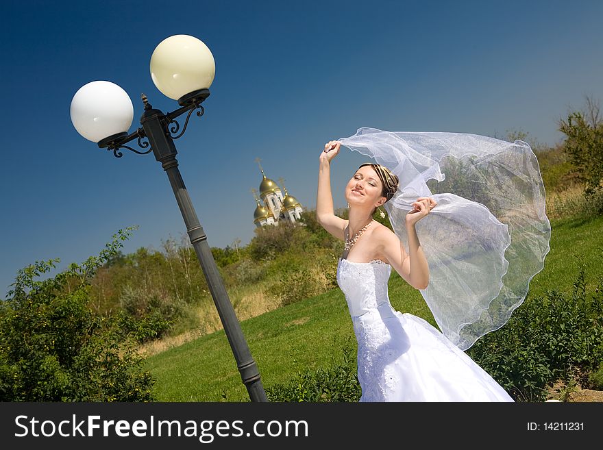 A happy bride with veil