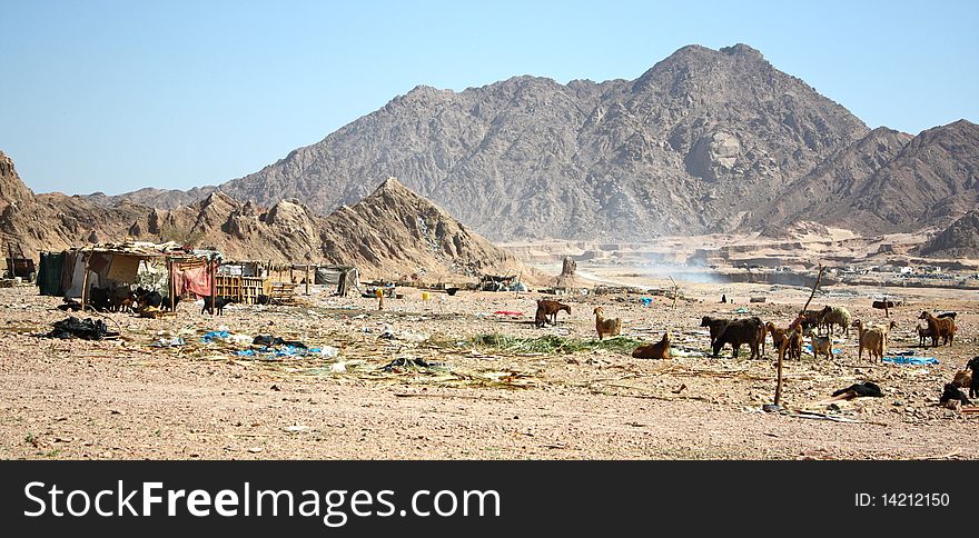 Bedouins settlement in Egypt, Africa