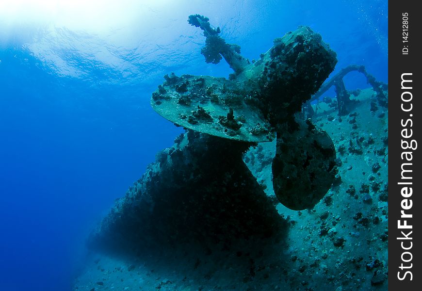The wreck of salem express in egypt