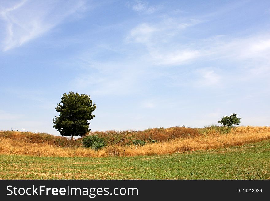 Landscape with two trees and blue sky