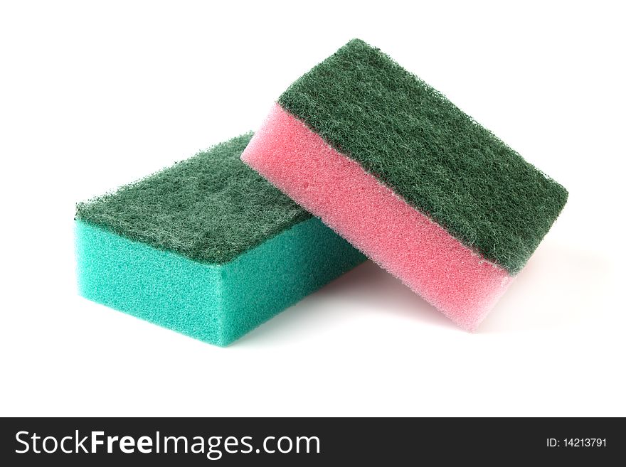 Sponges