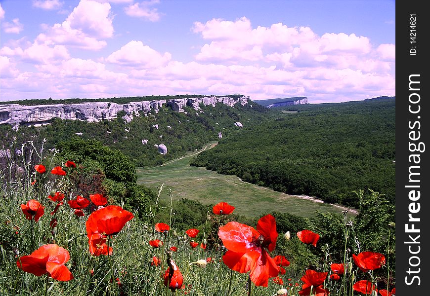Landscapes of Crimean mountains, poppies of a cave city. Landscapes of Crimean mountains, poppies of a cave city.