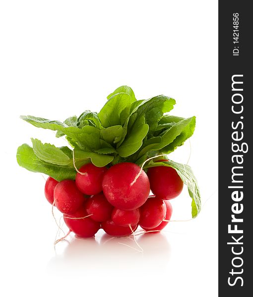 Bunch of fresh red radish on the white background