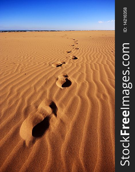 Footsteps Going Over The Sand From The Sea