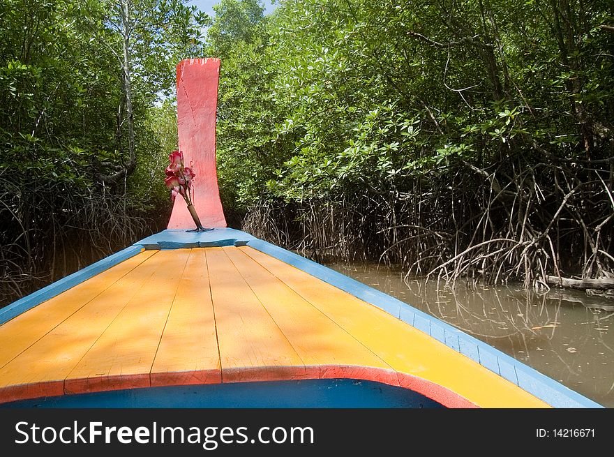 Colourful boat ventures into a mangrove swamp. Colourful boat ventures into a mangrove swamp
