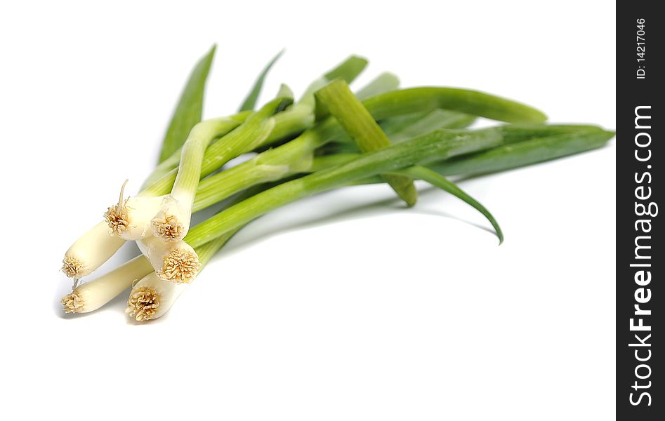 Bunch of spring onions isolated on white background