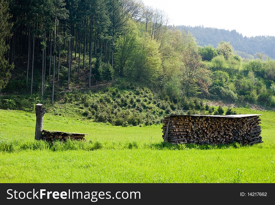 Grassland and stored firewood on sunny edge  of  the  wood in Black Forest. Grassland and stored firewood on sunny edge  of  the  wood in Black Forest