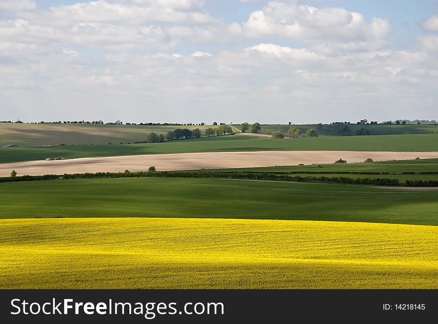Hampshire countryside landscape in spring