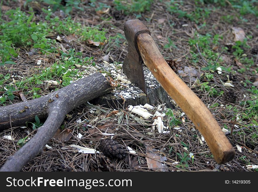 An ax is hammered in a stump, firewoods, cones, lie alongside. An ax is hammered in a stump, firewoods, cones, lie alongside