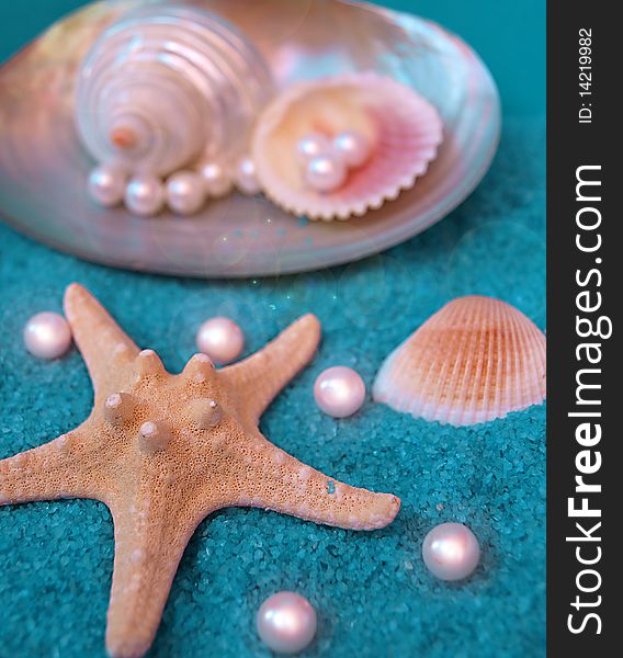 Pearls and shells