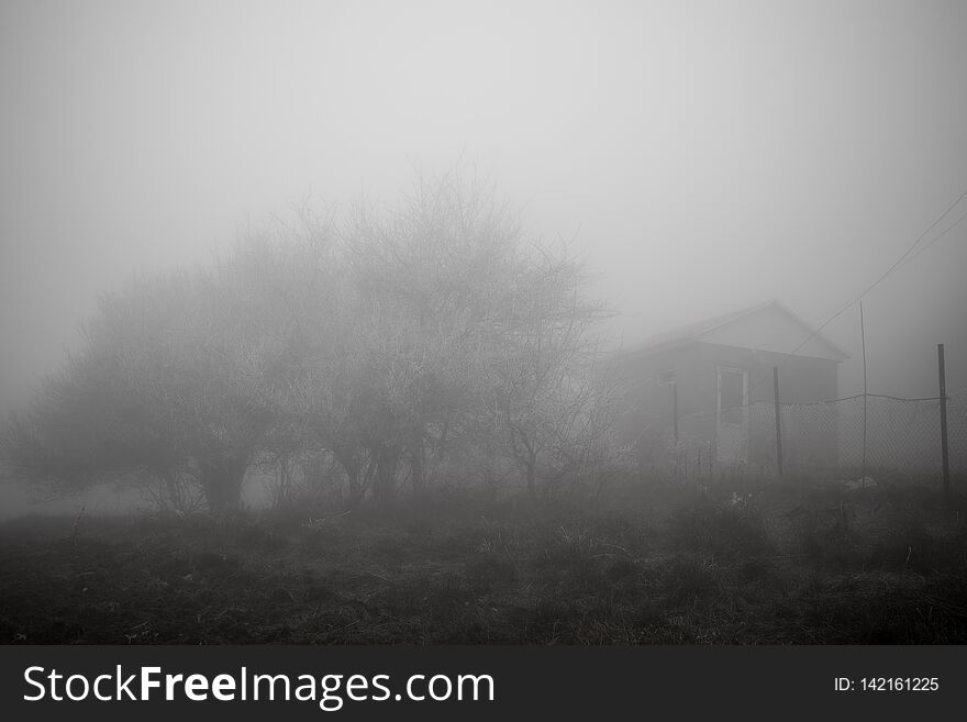 Mysterious house in the forest with fog and a tree. The old spooky house on the land of nowhere. Winter Landscape