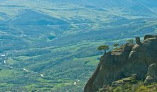 A Tree On A Rock In The Crimean Mountains Royalty Free Stock Photo A Tree On A Rock In The Crimean Mountains Royalty Free Stock Photo