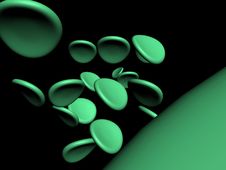 Chlorophyll Cells Stock Images