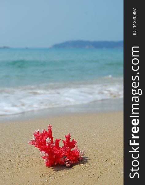 Coral sand on the beach and the sea background