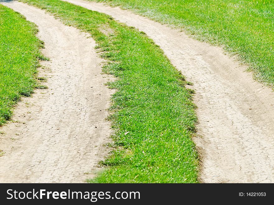 Summer landscape. Wood road is bent between trees. Summer landscape. Wood road is bent between trees