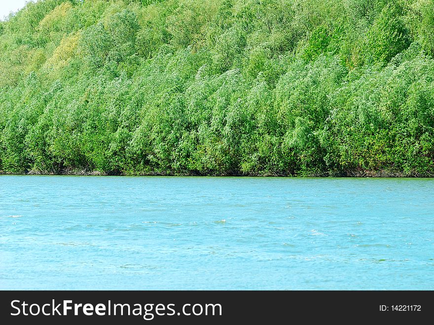 Summer landscape. Forest and river background