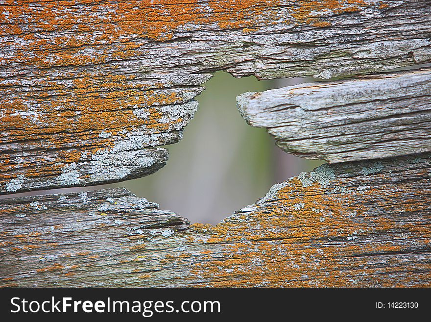 a close up of old wood texture