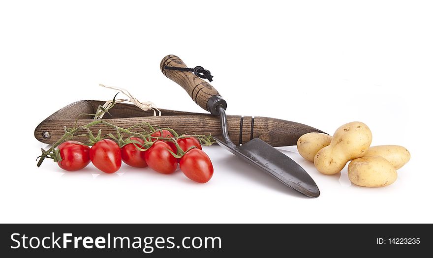 Gardening tools and fresh vegetables over white background