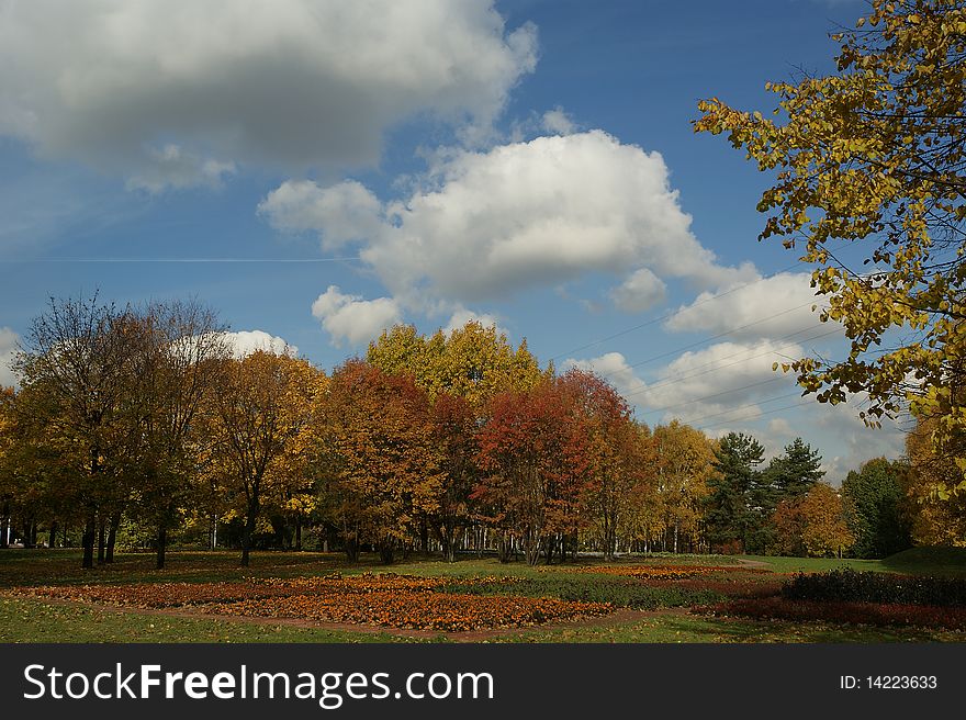 Moscow, Russia, autumn landscape in the park in the center.