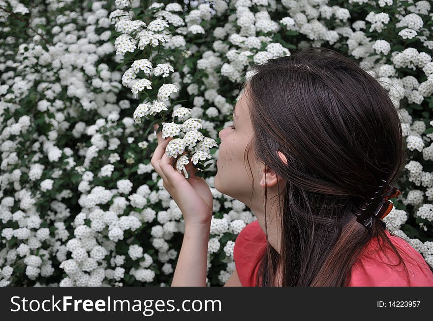 Beautiful girl smells white flowers