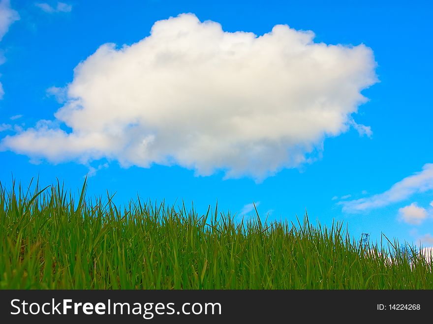 Summer landscape: the Big cloud and a green grass