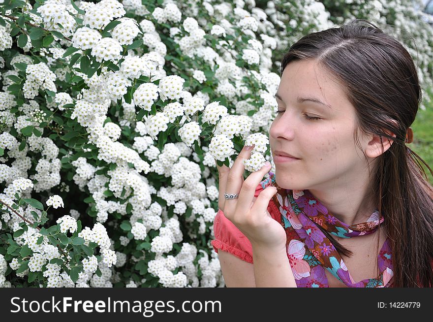 Young beautiful girl smells white flowers. Young beautiful girl smells white flowers