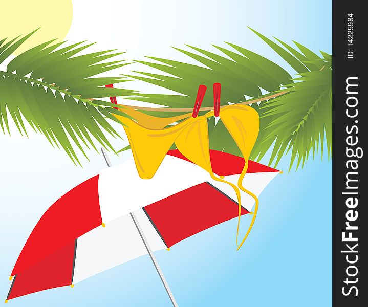 Swimming suit dries on the branches of palms. Illustration