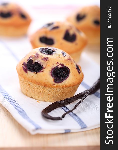 Cupcake with blueberries