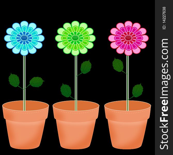 Beautiful vibrant flowers in pots isolated on black background. Beautiful vibrant flowers in pots isolated on black background