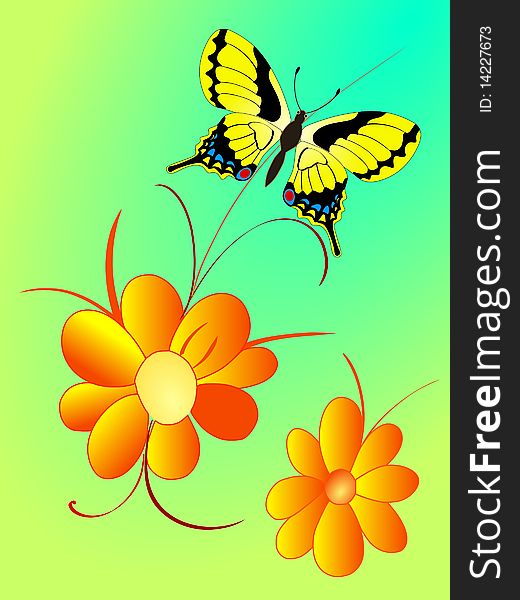 Vector colored illustration of floral composition