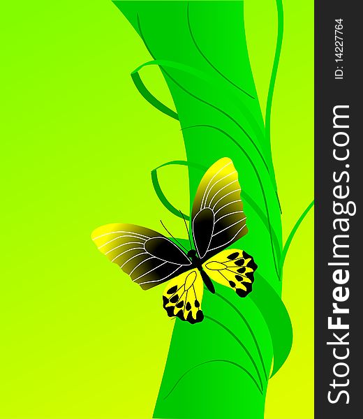 Vector illustration of butterfly on a branch