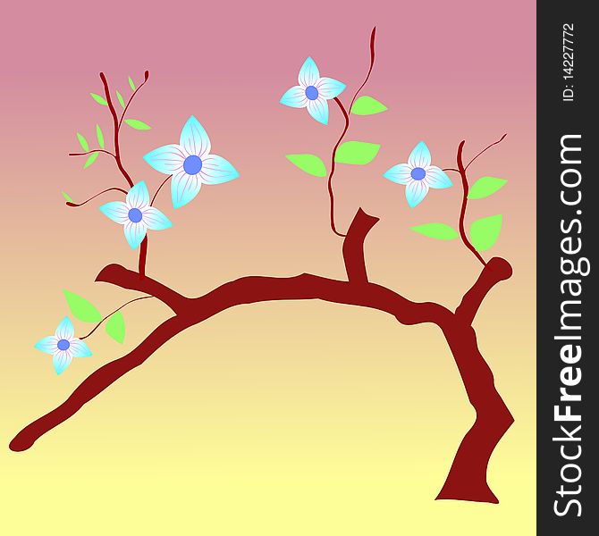 Vector colored illustration of spring blossoms