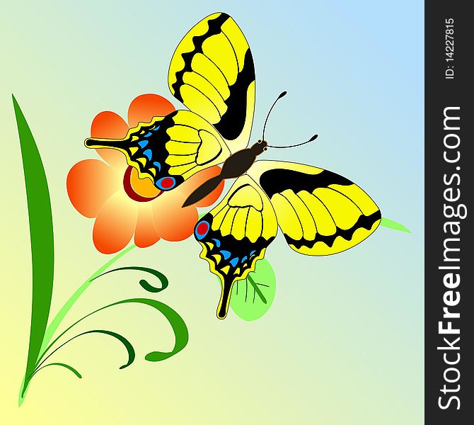 Vector illustration of butterfly on a branch