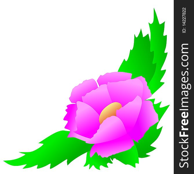 Vector colored corner floral composition