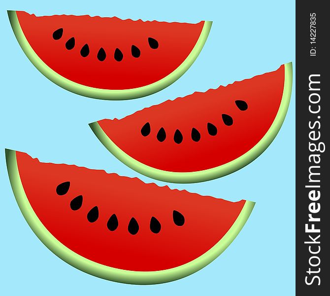 Vector illustration of texture of cutting watermelon