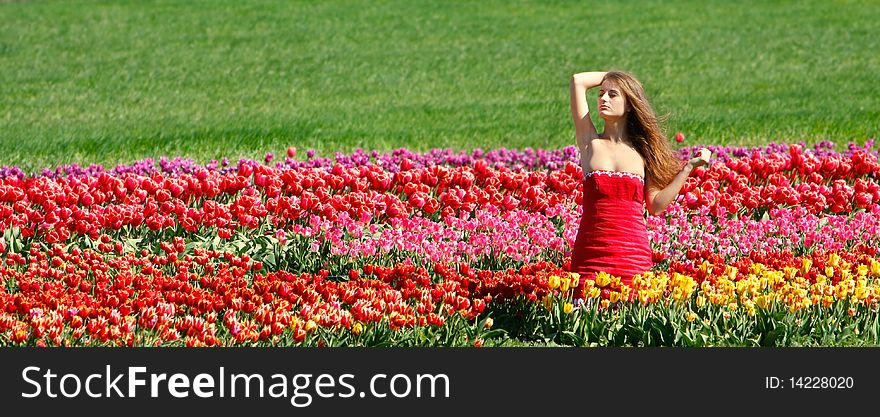 Young beautiful girl in tulip field