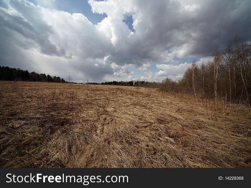 Russian neskoshennoy field with grass and forest in the distance and the blue sky with clouds in early spring. Russian neskoshennoy field with grass and forest in the distance and the blue sky with clouds in early spring