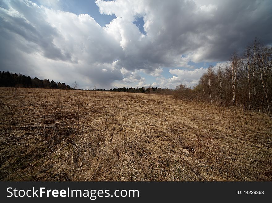 Russian Field In Early Spring