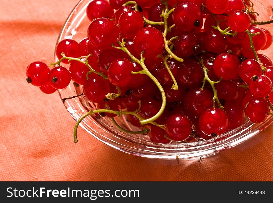 Still life with red currant on the bow