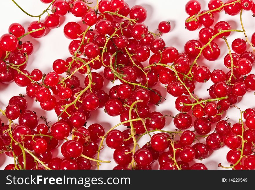 Food series: still life with red currant