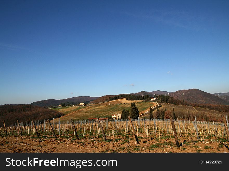 Tuscan vineyard and landscape under a beautiful blue sky. Tuscan vineyard and landscape under a beautiful blue sky.