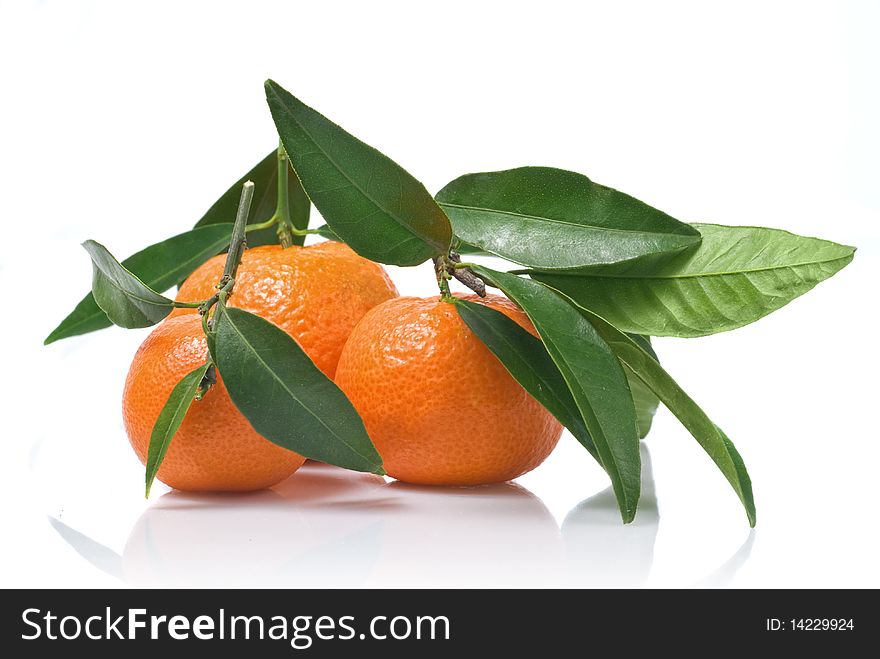 Tangerines With Green Leaves