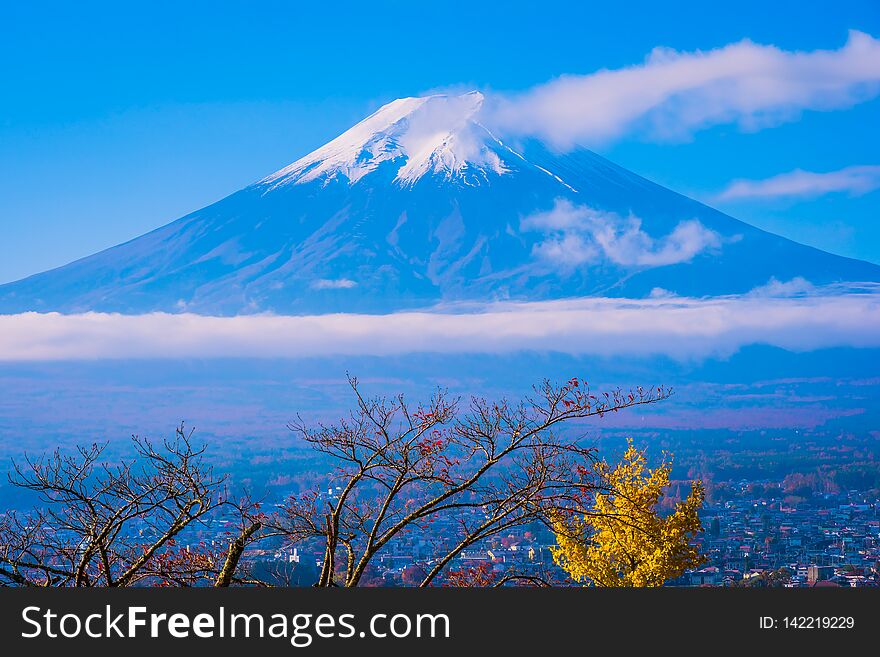 Beautiful landscape of mountain fuji around maple leaf tree in autumn season