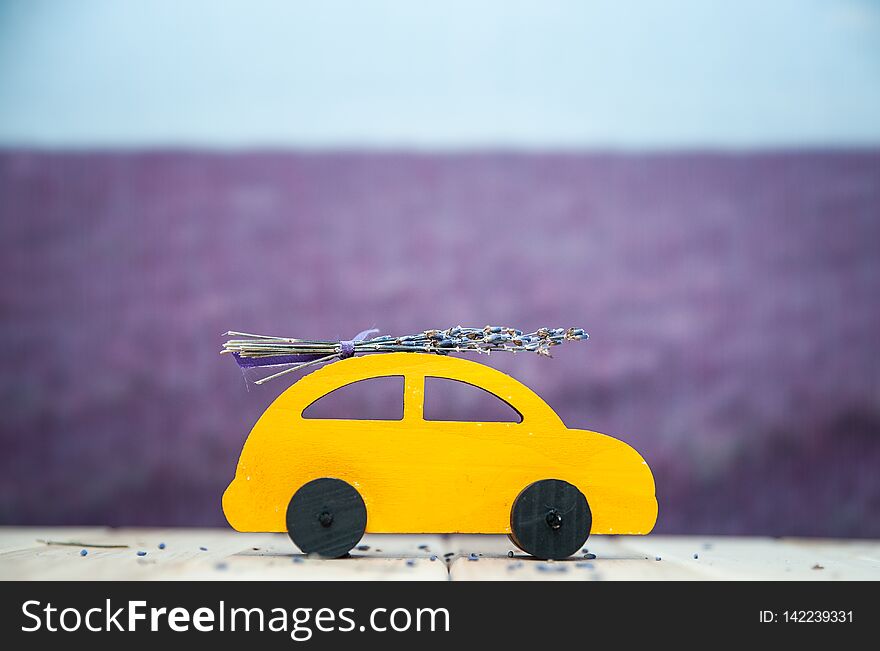 Concept journey through the lavender fields, car with a bouquet of lavender rides on the background of a lavender field