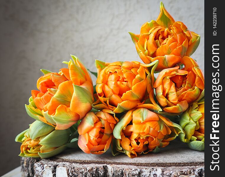Beautiful orange tulips on wooden backdrop. Perfect for background greeting card