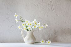 Daffodils In Jug On White Background Royalty Free Stock Images